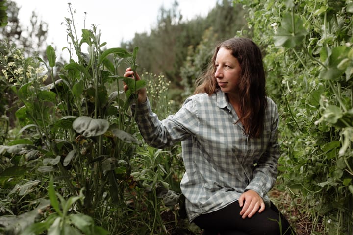 Monique Macfarlane
